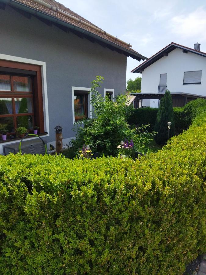 Aussergewoehnliche Atelierferienwohnung Mit Balkon An Der Donau Winzer Exterior photo