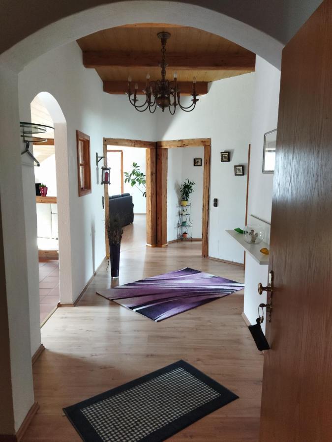 Aussergewoehnliche Atelierferienwohnung Mit Balkon An Der Donau Winzer Exterior photo