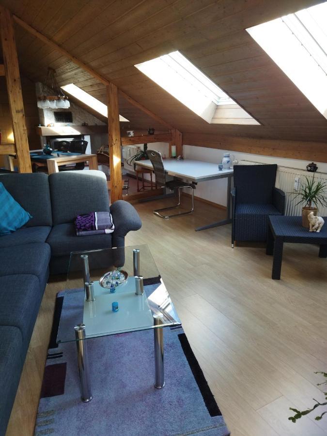 Aussergewoehnliche Atelierferienwohnung Mit Balkon An Der Donau Winzer Exterior photo