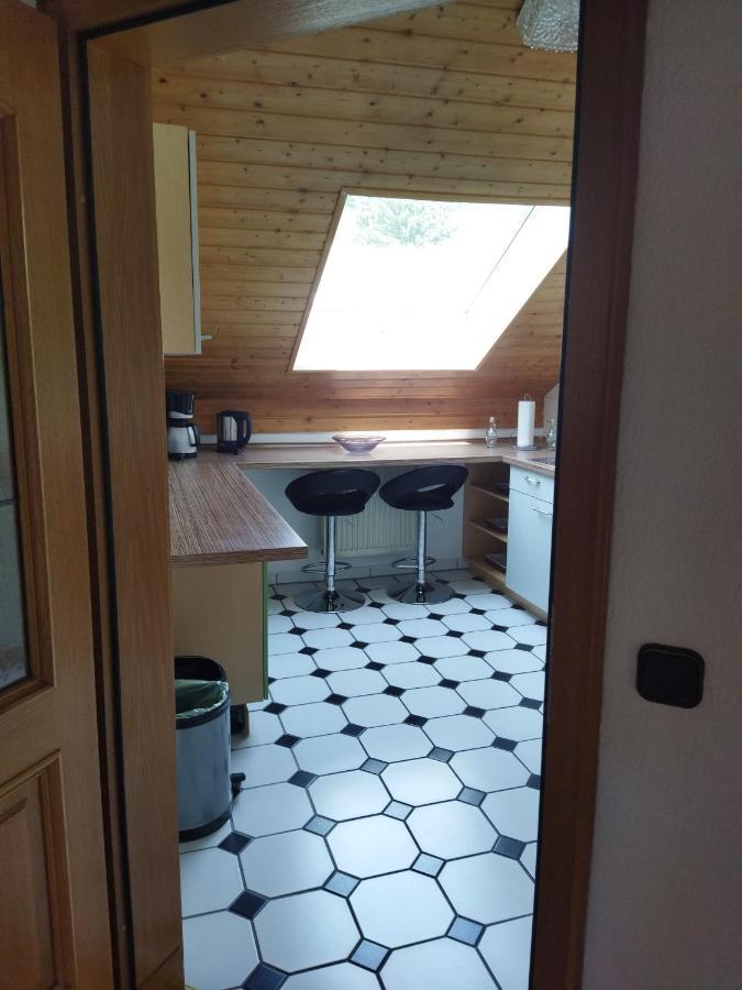 Aussergewoehnliche Atelierferienwohnung Mit Balkon An Der Donau Winzer Exterior photo