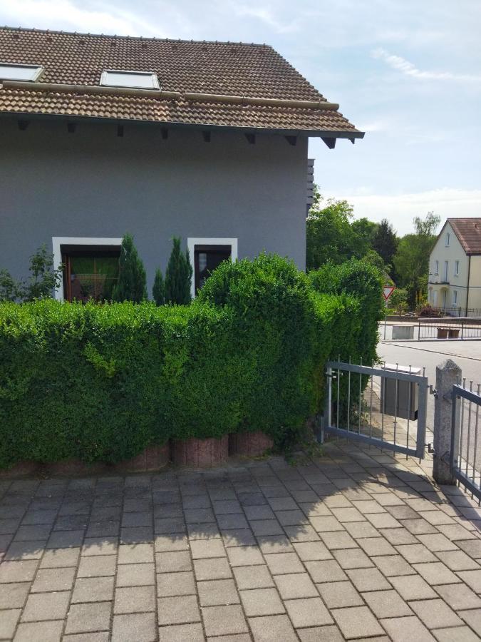 Aussergewoehnliche Atelierferienwohnung Mit Balkon An Der Donau Winzer Exterior photo