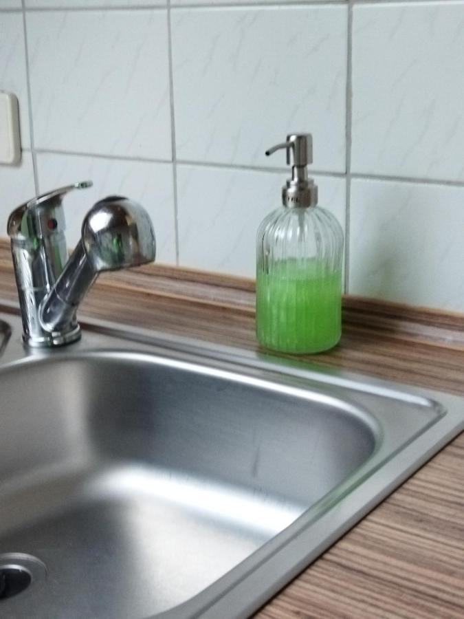 Aussergewoehnliche Atelierferienwohnung Mit Balkon An Der Donau Winzer Exterior photo