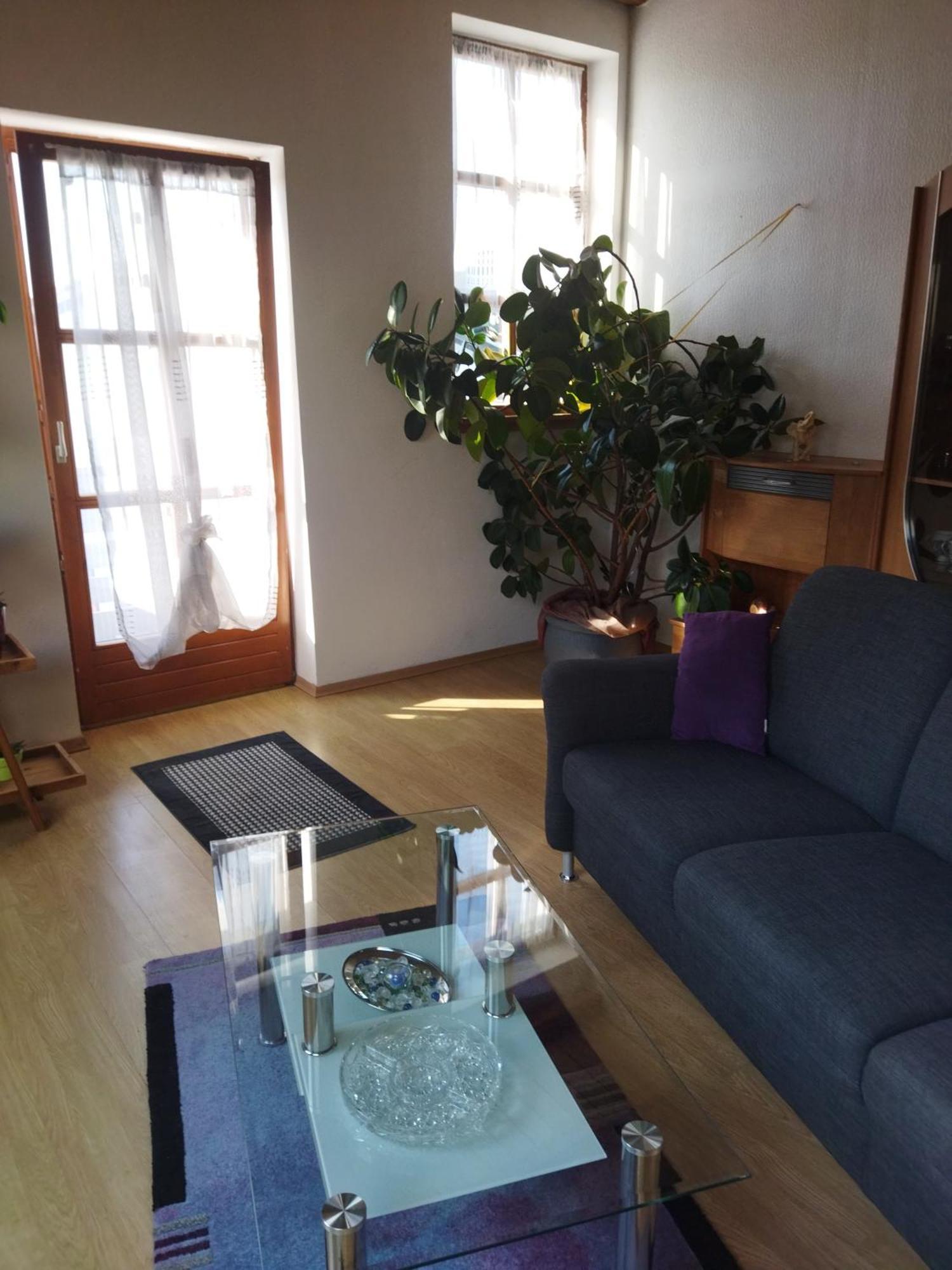 Aussergewoehnliche Atelierferienwohnung Mit Balkon An Der Donau Winzer Exterior photo