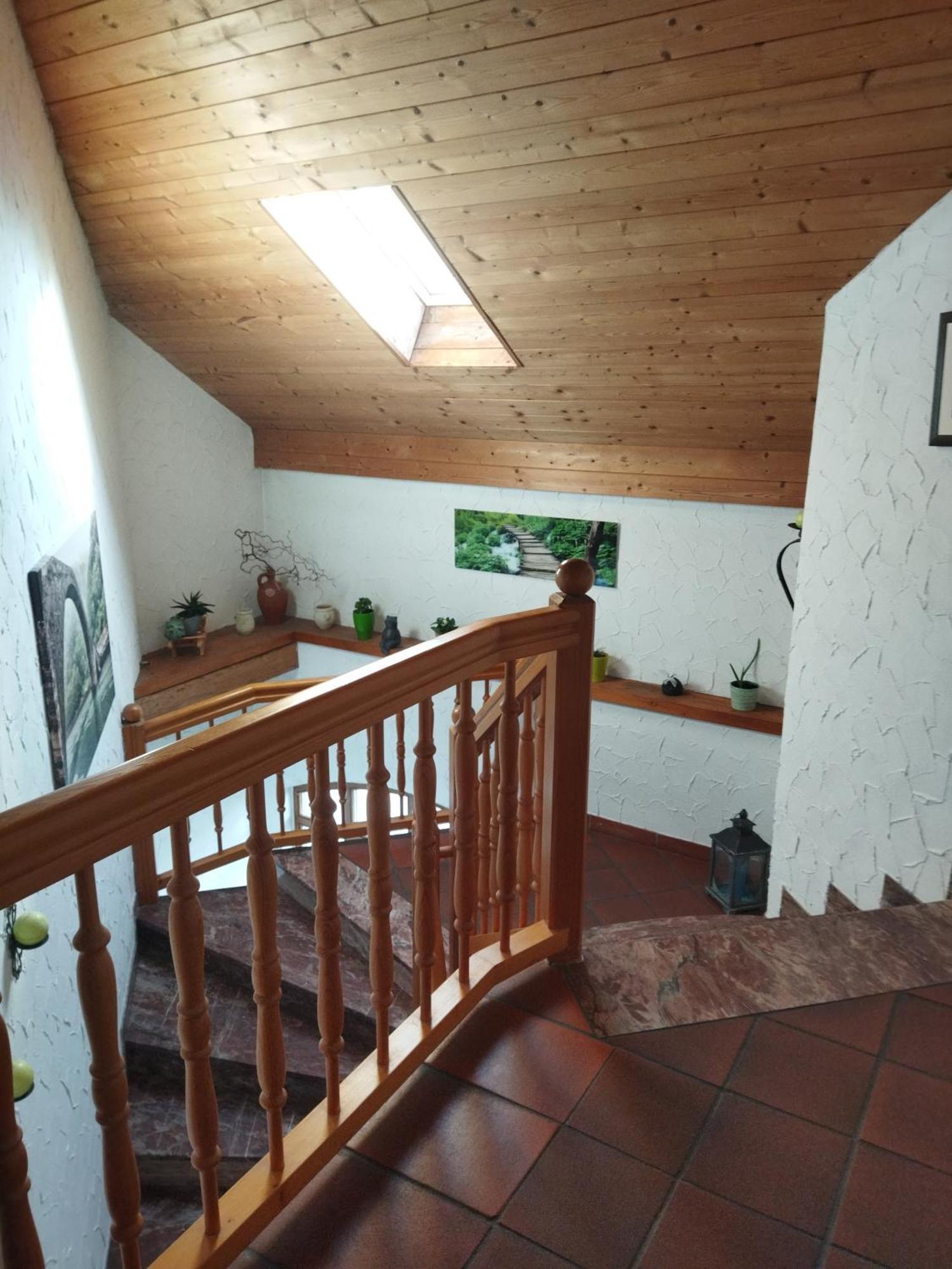 Aussergewoehnliche Atelierferienwohnung Mit Balkon An Der Donau Winzer Exterior photo